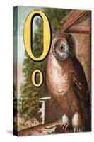 O For the Owl That Sees In the Dark-Edmund Evans-Stretched Canvas