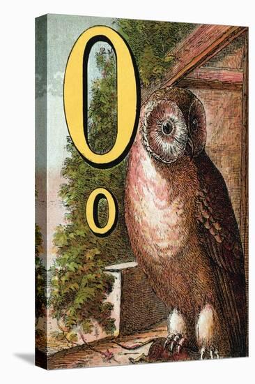 O For the Owl That Sees In the Dark-Edmund Evans-Stretched Canvas