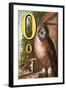 O For the Owl That Sees In the Dark-Edmund Evans-Framed Art Print