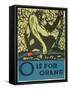 O is for Orang-null-Framed Stretched Canvas