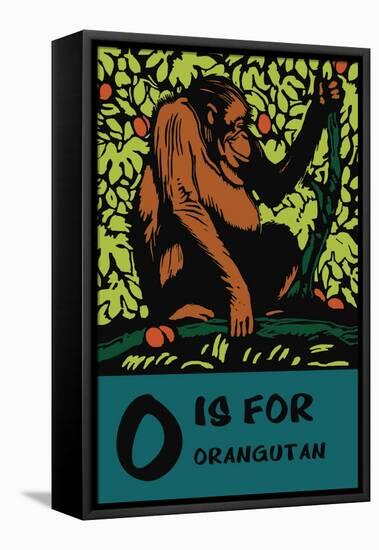 O is for Orangutang-Charles Buckles Falls-Framed Stretched Canvas