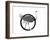 O is for Ostrich-Stacy Hsu-Framed Art Print