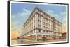 O'Neil's Department Store, Akron, Ohio-null-Framed Stretched Canvas