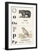 O P: Bear — Parrot, 1850 (Engraving)-Louis Simon (1810-1870) Lassalle-Framed Giclee Print