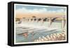 O'Shaughnessy Dam, Columbus, Ohio-null-Framed Stretched Canvas