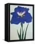 O-Sho-Kun Book of a Blue Iris-Stapleton Collection-Framed Stretched Canvas