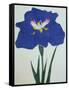 O-Sho-Kun Book of a Blue Iris-Stapleton Collection-Framed Stretched Canvas