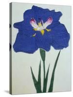 O-Sho-Kun Book of a Blue Iris-Stapleton Collection-Stretched Canvas