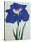 O-Sho-Kun Book of a Blue Iris-Stapleton Collection-Stretched Canvas