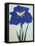 O-Sho-Kun Book of a Blue Iris-Stapleton Collection-Framed Stretched Canvas