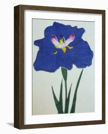 O-Sho-Kun Book of a Blue Iris-Stapleton Collection-Framed Giclee Print