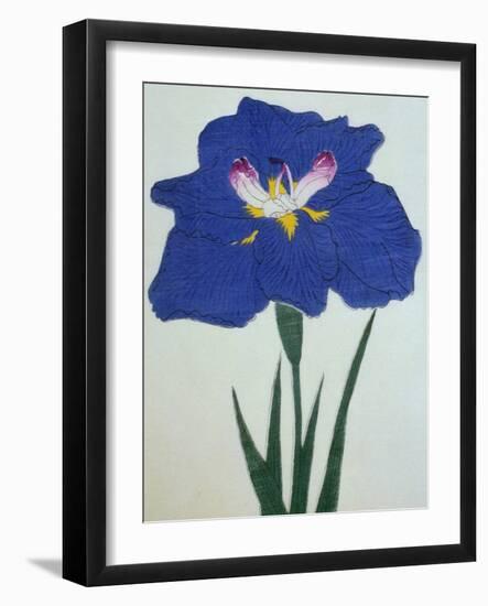 O-Sho-Kun Book of a Blue Iris-Stapleton Collection-Framed Giclee Print