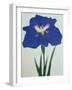 O-Sho-Kun Book of a Blue Iris-Stapleton Collection-Framed Giclee Print