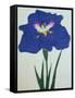 O-Sho-Kun Book of a Blue Iris-Stapleton Collection-Framed Stretched Canvas