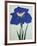 O-Sho-Kun Book of a Blue Iris-Stapleton Collection-Framed Giclee Print