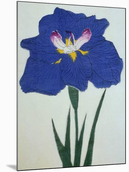 O-Sho-Kun Book of a Blue Iris-Stapleton Collection-Mounted Giclee Print