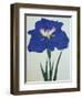 O-Sho-Kun Book of a Blue Iris-Stapleton Collection-Framed Premium Giclee Print