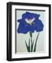 O-Sho-Kun Book of a Blue Iris-Stapleton Collection-Framed Premium Giclee Print