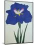 O-Sho-Kun Book of a Blue Iris-Stapleton Collection-Mounted Premium Giclee Print