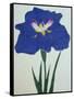 O-Sho-Kun Book of a Blue Iris-Stapleton Collection-Framed Stretched Canvas