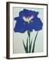 O-Sho-Kun Book of a Blue Iris-Stapleton Collection-Framed Giclee Print