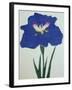 O-Sho-Kun Book of a Blue Iris-Stapleton Collection-Framed Giclee Print