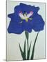 O-Sho-Kun Book of a Blue Iris-Stapleton Collection-Mounted Giclee Print