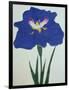 O-Sho-Kun Book of a Blue Iris-Stapleton Collection-Framed Giclee Print