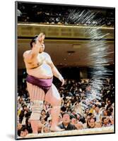 O Sumo-Stephen Lebovits-Mounted Giclee Print