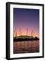 Black Frame