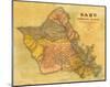 Oahu, Hawaiian Islands, c.1899-T^ D^ Beasley-Mounted Art Print