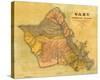 Oahu, Hawaiian Islands, c.1899-T^ D^ Beasley-Stretched Canvas