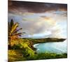 Oahu island-null-Mounted Art Print