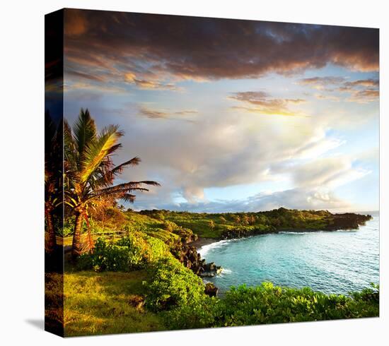 Oahu island-null-Stretched Canvas