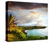 Oahu island-null-Stretched Canvas