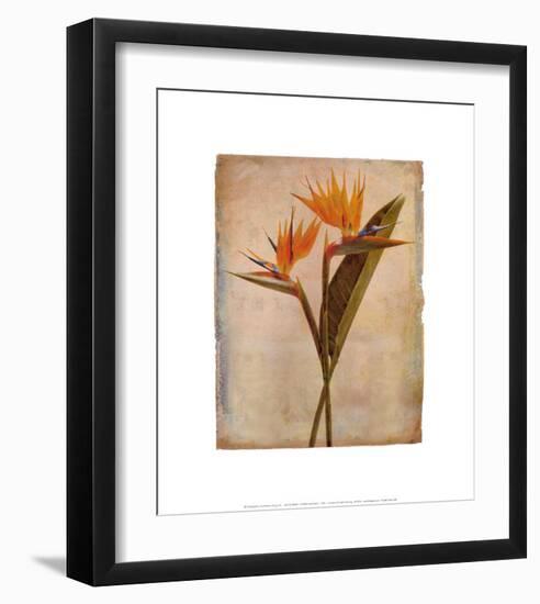 Oahu-Linda Maron-Framed Art Print