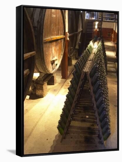 Oak Aging Vats and Pupitres for Fermenting Sparkling Wine, Bodega Pisano Winery, Progreso, Uruguay-Per Karlsson-Framed Stretched Canvas