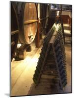 Oak Aging Vats and Pupitres for Fermenting Sparkling Wine, Bodega Pisano Winery, Progreso, Uruguay-Per Karlsson-Mounted Photographic Print