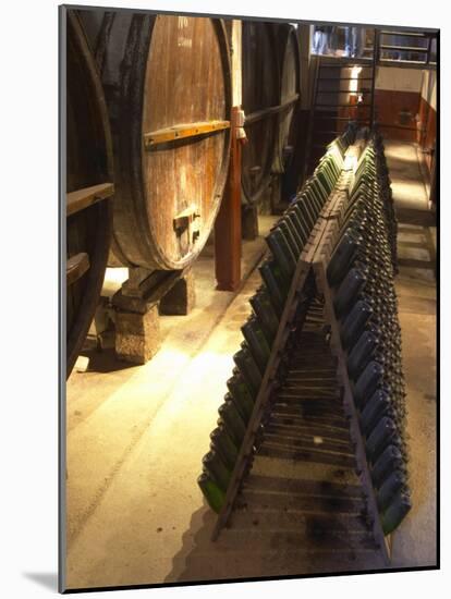 Oak Aging Vats and Pupitres for Fermenting Sparkling Wine, Bodega Pisano Winery, Progreso, Uruguay-Per Karlsson-Mounted Photographic Print