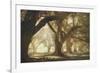 Oak Alley Morning Light-William Guion-Framed Art Print