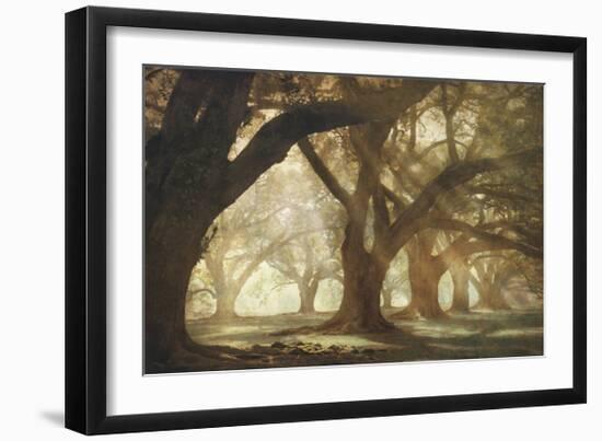 Oak Alley Morning Light-William Guion-Framed Giclee Print