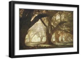 Oak Alley Morning Light-William Guion-Framed Giclee Print
