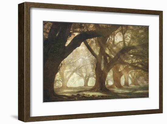 Oak Alley Morning Light-William Guion-Framed Giclee Print