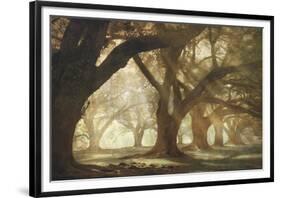 Oak Alley Morning Light-William Guion-Framed Giclee Print