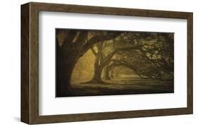Oak Alley Morning Shadows-William Guion-Framed Art Print