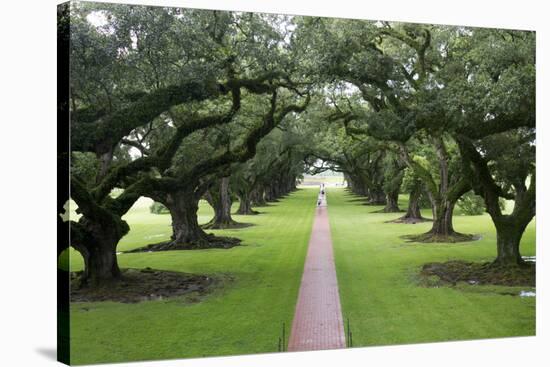 Oak Alley Plantation, Alley of Oaks, Virginia Live Oaks, Louisiana, USA-Jamie & Judy Wild-Stretched Canvas