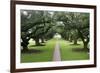 Oak Alley Plantation, Alley of Oaks, Virginia Live Oaks, Louisiana, USA-Jamie & Judy Wild-Framed Photographic Print