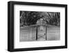 Oak Alley Plantation, Louisiana-null-Framed Premium Giclee Print