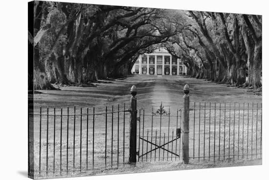 Oak Alley Plantation, Louisiana-null-Stretched Canvas