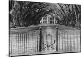 Oak Alley Plantation, Louisiana-null-Stretched Canvas